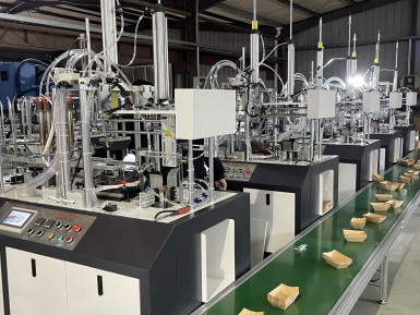 PRY-50CHJ Automatic 30 ~ 40 times/min Food PE Coated Paper Lunch Box Forming Making Machine